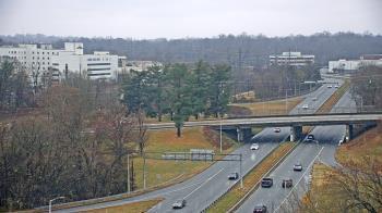 Weather camera view of The Proximity Hotel.