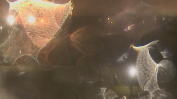 Weather camera view of Greensburg Elementary.