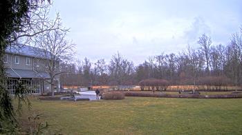 Weather camera view of GNMPM&VC � Gettysburg Foundation.