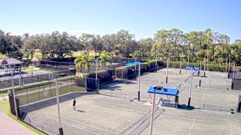 Weather camera view of Grey Oaks Country Club.
