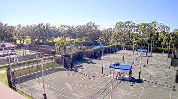 Weather camera view of Grey Oaks Country Club.