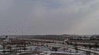 Weather camera view of NOW Arena.