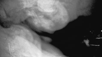 Weather camera view of Houston Country Club.