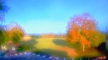 Weather camera view of Houston Country Club.