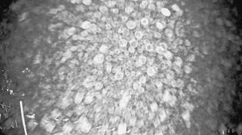 Weather camera view of Houston Country Club.