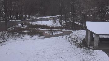 Weather camera view of Wildwood Park.