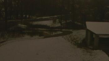 Weather camera view of Wildwood Park.