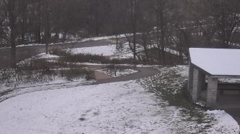 Weather camera view of Wildwood Park.