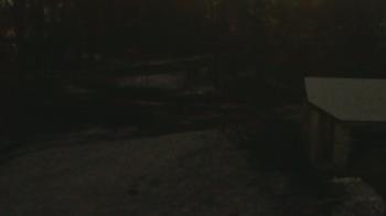 Weather camera view of Wildwood Park.