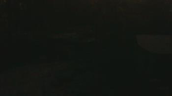 Weather camera view of Wildwood Park.