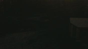 Weather camera view of Wildwood Park.