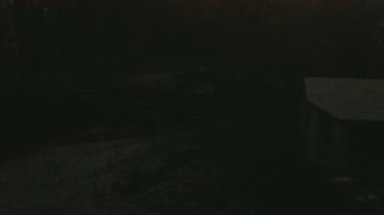 Weather camera view of Wildwood Park.