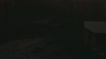 Weather camera view of Wildwood Park.