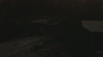 Weather camera view of Wildwood Park.