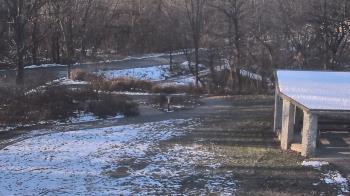 Weather camera view of Wildwood Park.