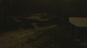 Weather camera view of Wildwood Park.