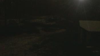 Weather camera view of Wildwood Park.