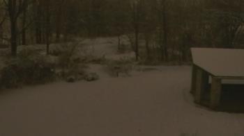 Weather camera view of Wildwood Park.