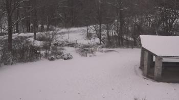 Weather camera view of Wildwood Park.