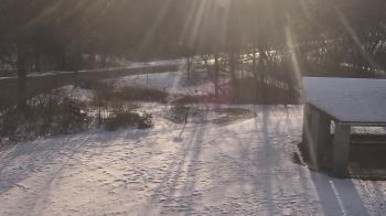 Weather camera view of Wildwood Park.