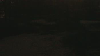 Weather camera view of Wildwood Park.