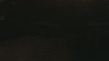 Weather camera view of Wildwood Park.