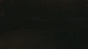 Weather camera view of Wildwood Park.