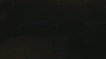 Weather camera view of Wildwood Park.