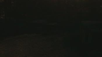 Weather camera view of Wildwood Park.