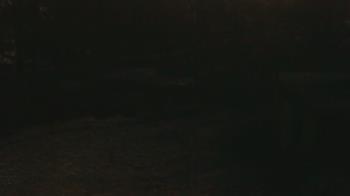 Weather camera view of Wildwood Park.