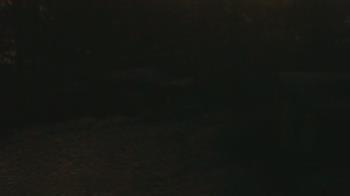 Weather camera view of Wildwood Park.