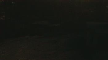 Weather camera view of Wildwood Park.