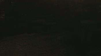 Weather camera view of Wildwood Park.