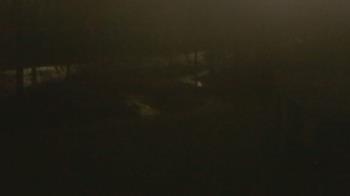 Weather camera view of Wildwood Park.