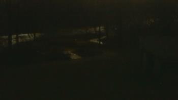 Weather camera view of Wildwood Park.