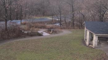 Weather camera view of Wildwood Park.
