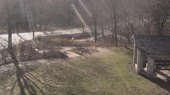 Weather camera view of Wildwood Park.