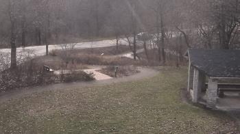 Weather camera view of Wildwood Park.