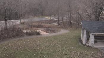 Weather camera view of Wildwood Park.