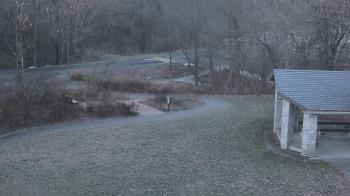 Weather camera view of Wildwood Park.