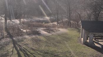 Weather camera view of Wildwood Park.