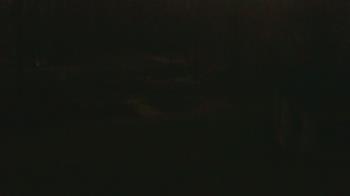 Weather camera view of Wildwood Park.