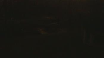 Weather camera view of Wildwood Park.