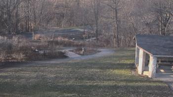 Weather camera view of Wildwood Park.