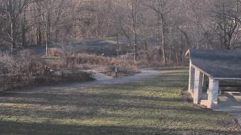 Weather camera view of Wildwood Park.