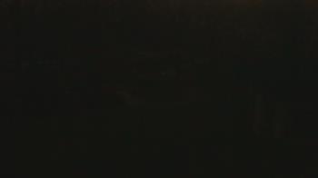 Weather camera view of Wildwood Park.