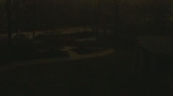 Weather camera view of Wildwood Park.
