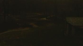 Weather camera view of Wildwood Park.