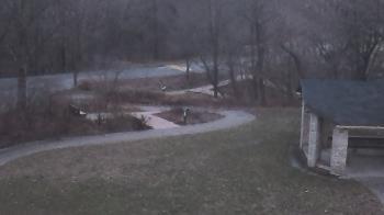 Weather camera view of Wildwood Park.