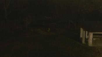 Weather camera view of Wildwood Park.